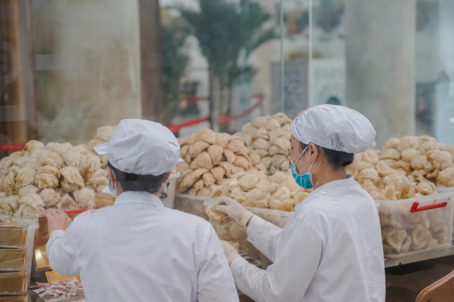 Nguồn nguyên liệu chủ động